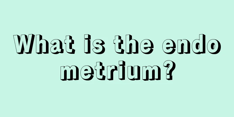 What is the endometrium?