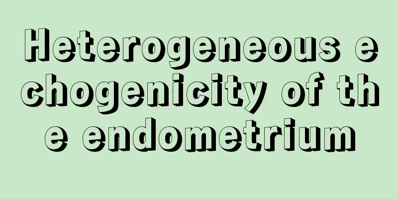 Heterogeneous echogenicity of the endometrium