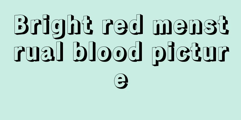 Bright red menstrual blood picture