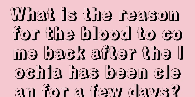 What is the reason for the blood to come back after the lochia has been clean for a few days?