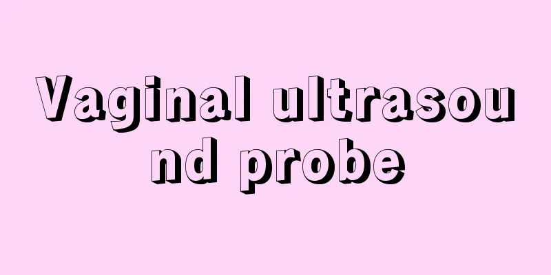 Vaginal ultrasound probe