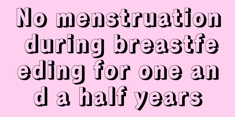 No menstruation during breastfeeding for one and a half years