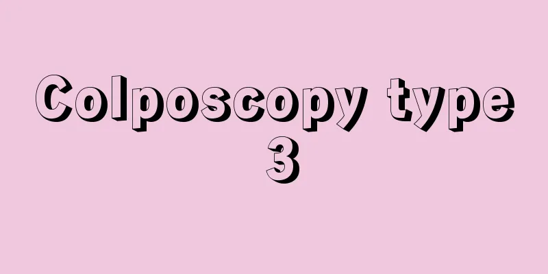 Colposcopy type 3