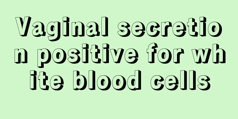 Vaginal secretion positive for white blood cells