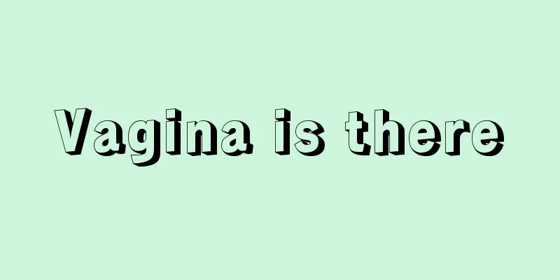 Vagina is there