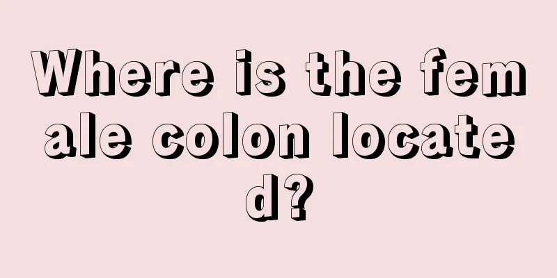 Where is the female colon located?