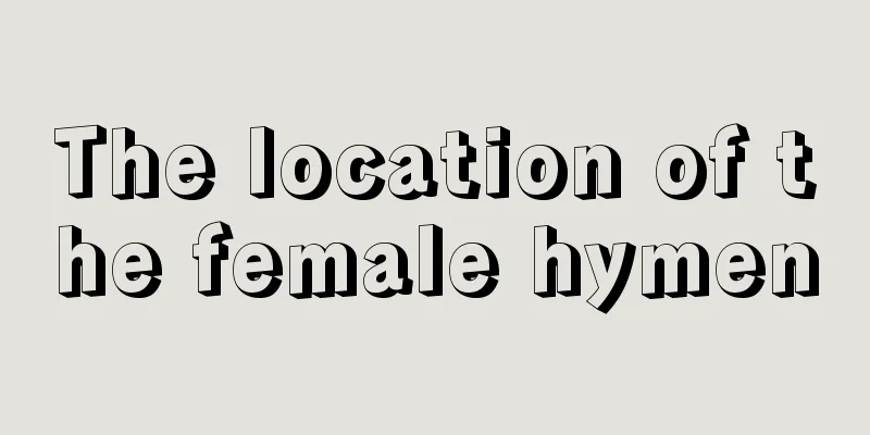 The location of the female hymen