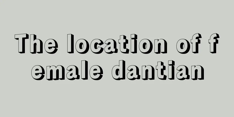 The location of female dantian