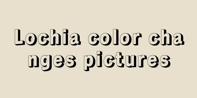 Lochia color changes pictures