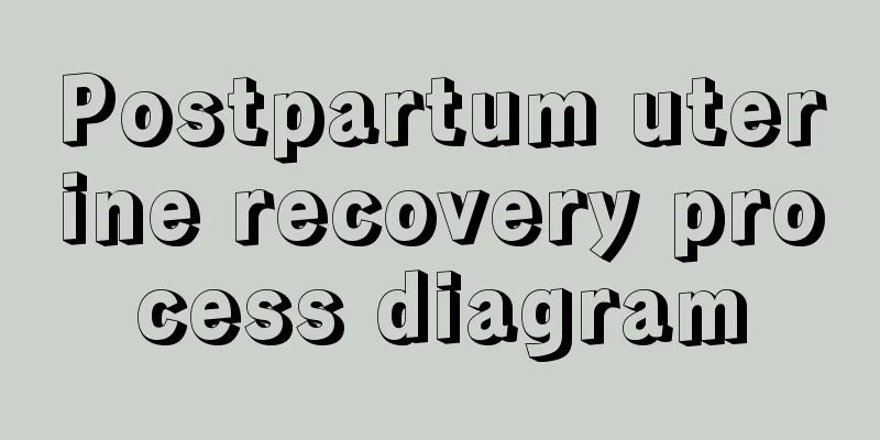 Postpartum uterine recovery process diagram