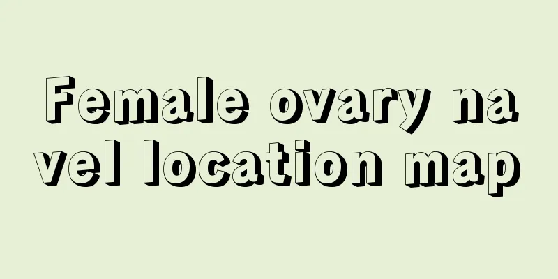 Female ovary navel location map