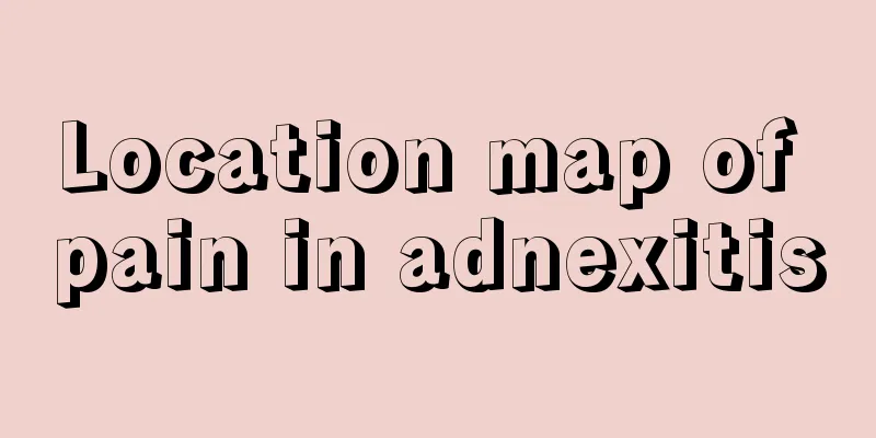 Location map of pain in adnexitis