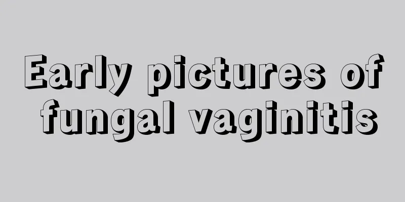 Early pictures of fungal vaginitis