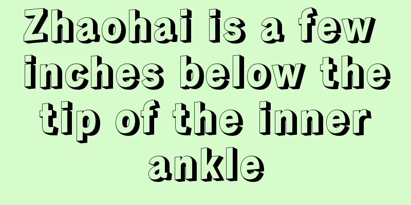 Zhaohai is a few inches below the tip of the inner ankle