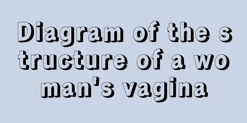 Diagram of the structure of a woman's vagina