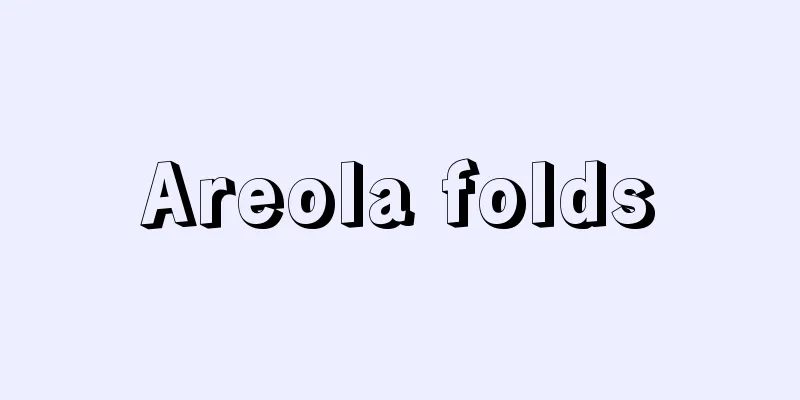 Areola folds