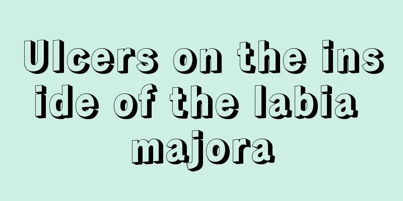 Ulcers on the inside of the labia majora