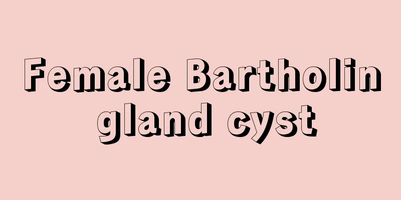 Female Bartholin gland cyst