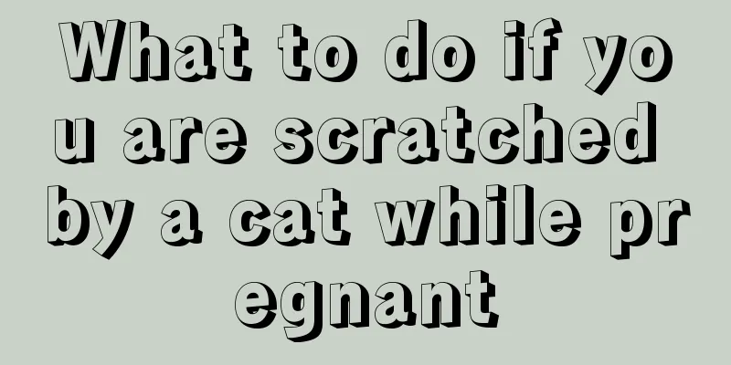 What to do if you are scratched by a cat while pregnant