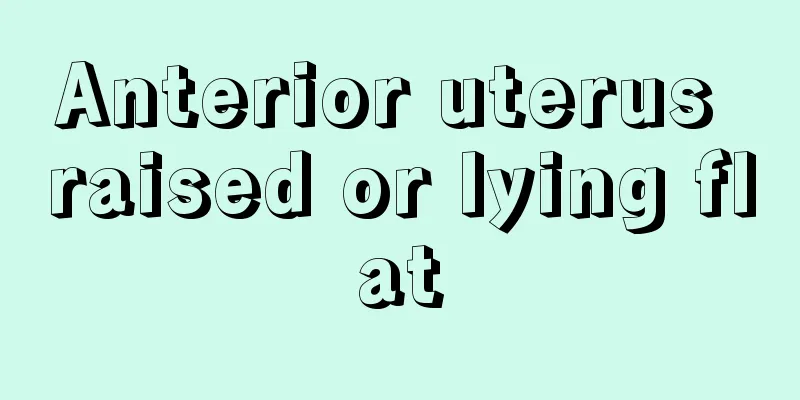 Anterior uterus raised or lying flat