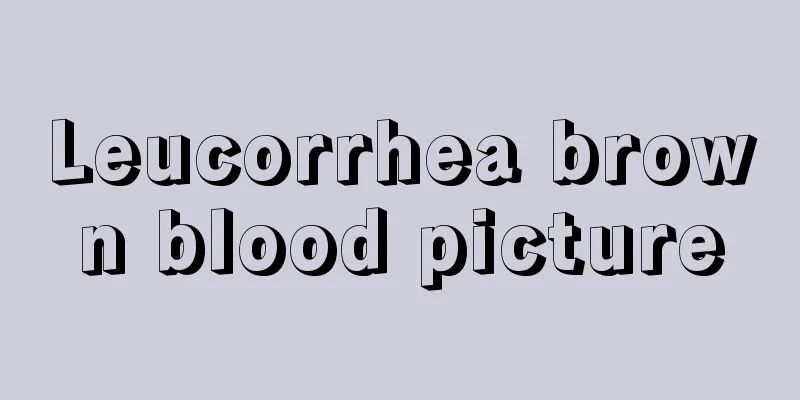 Leucorrhea brown blood picture