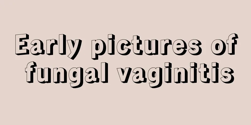 Early pictures of fungal vaginitis