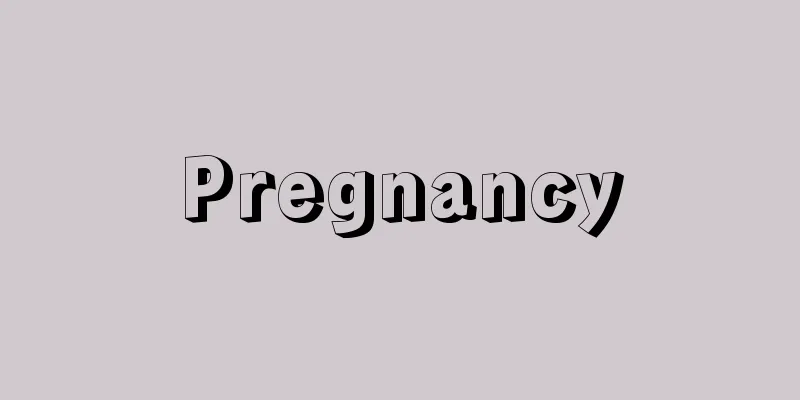 Pregnancy