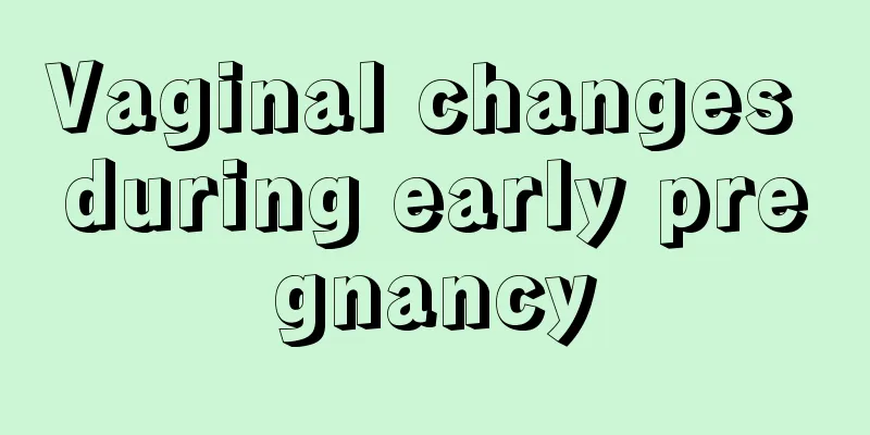 Vaginal changes during early pregnancy