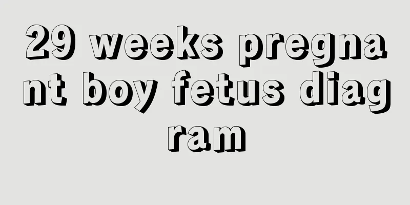 29 weeks pregnant boy fetus diagram