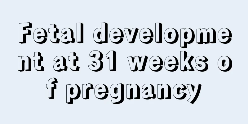 Fetal development at 31 weeks of pregnancy