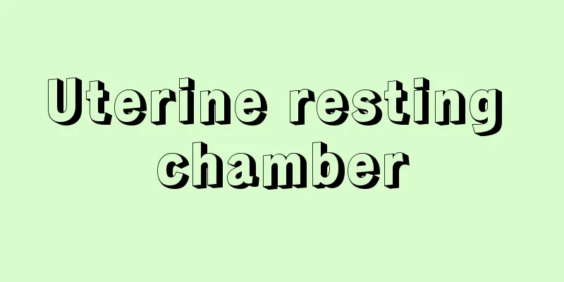 Uterine resting chamber