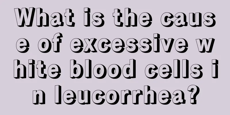 What is the cause of excessive white blood cells in leucorrhea?