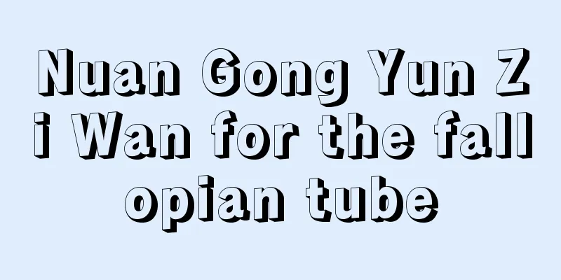 Nuan Gong Yun Zi Wan for the fallopian tube