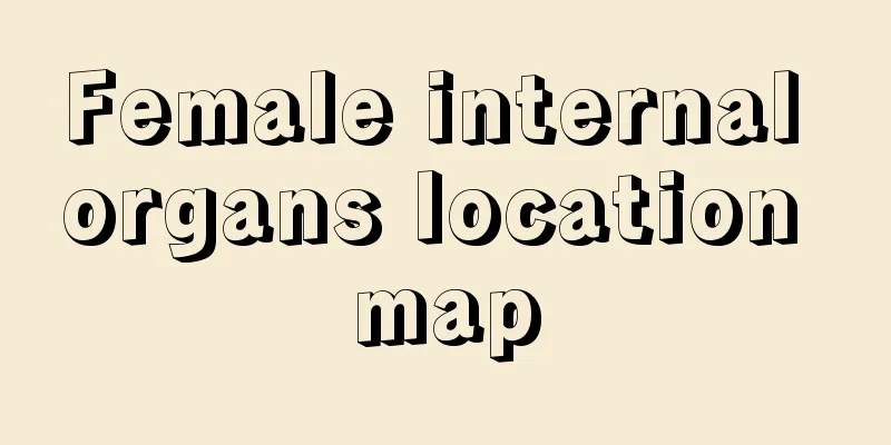 Female internal organs location map