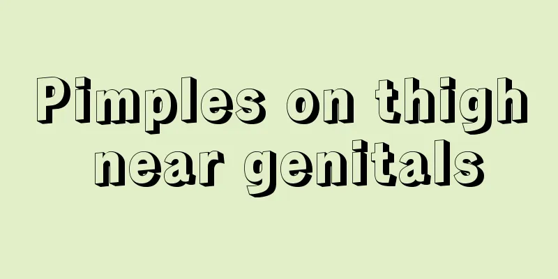 Pimples on thigh near genitals