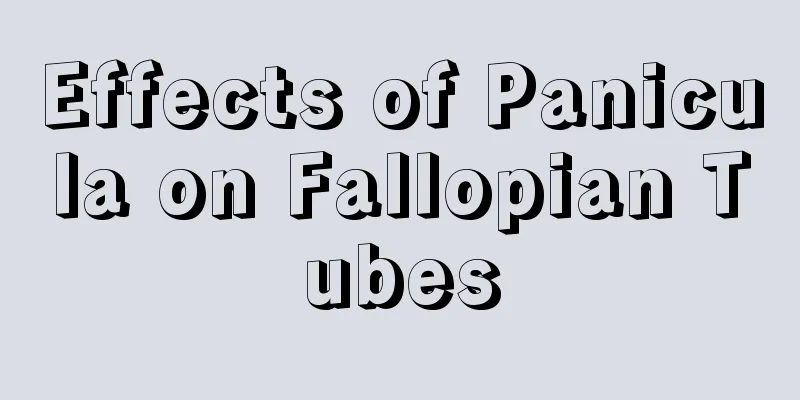 Effects of Panicula on Fallopian Tubes