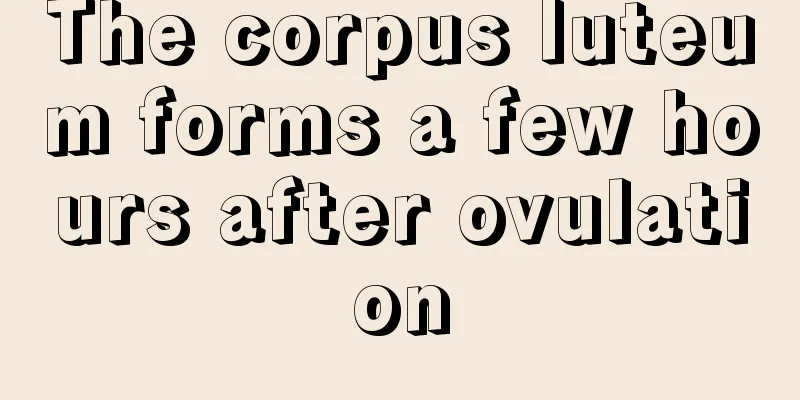 The corpus luteum forms a few hours after ovulation