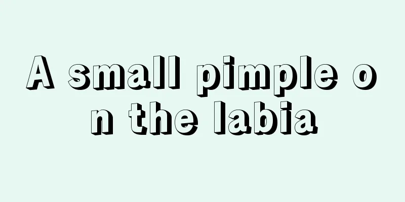 A small pimple on the labia