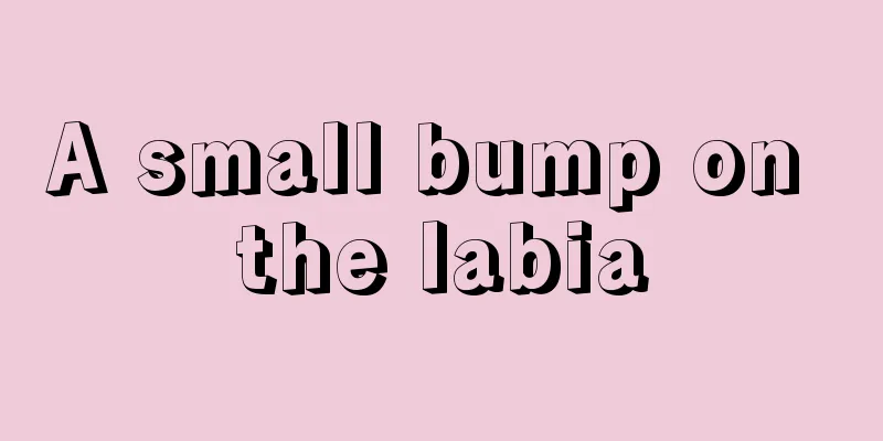 A small bump on the labia