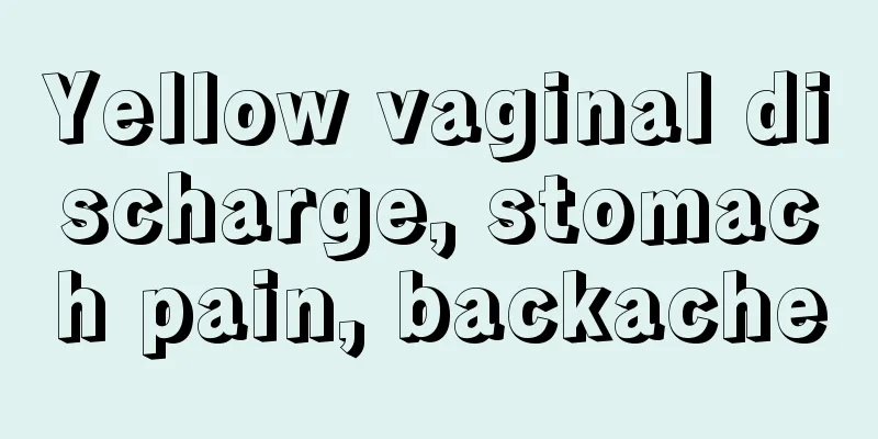 Yellow vaginal discharge, stomach pain, backache