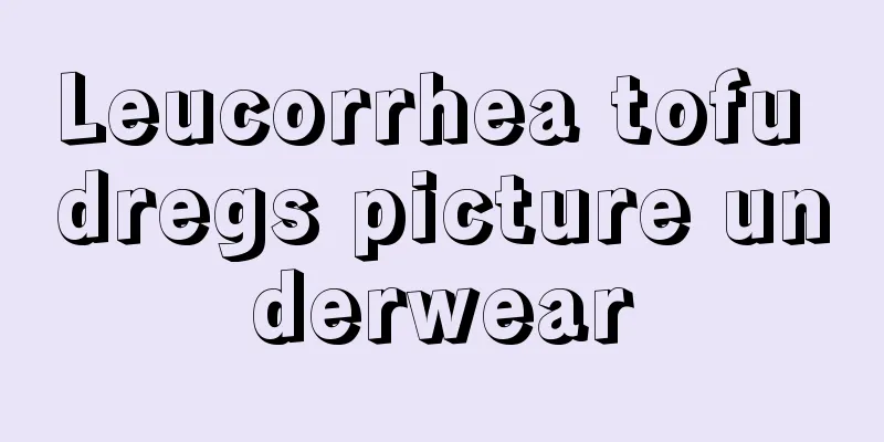 Leucorrhea tofu dregs picture underwear