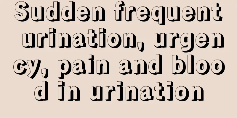 Sudden frequent urination, urgency, pain and blood in urination