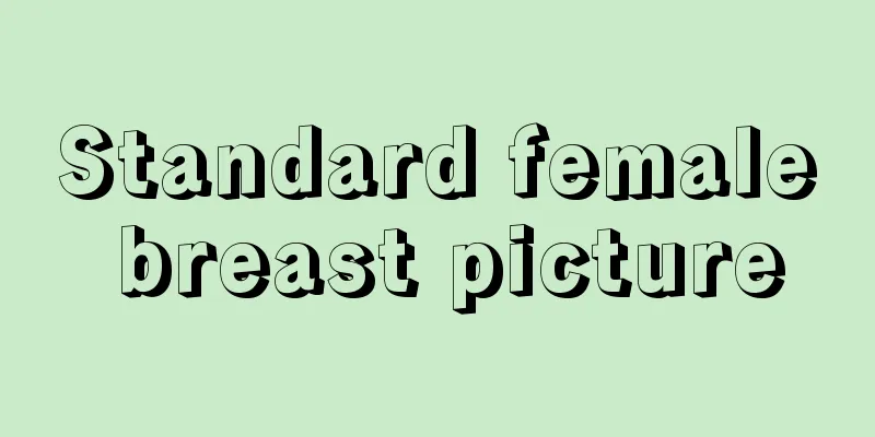 Standard female breast picture