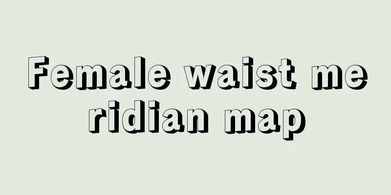 Female waist meridian map