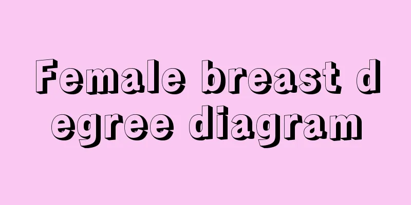 Female breast degree diagram