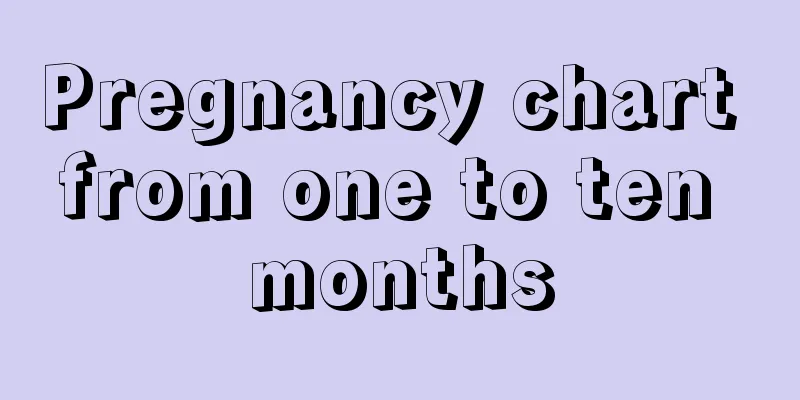 Pregnancy chart from one to ten months