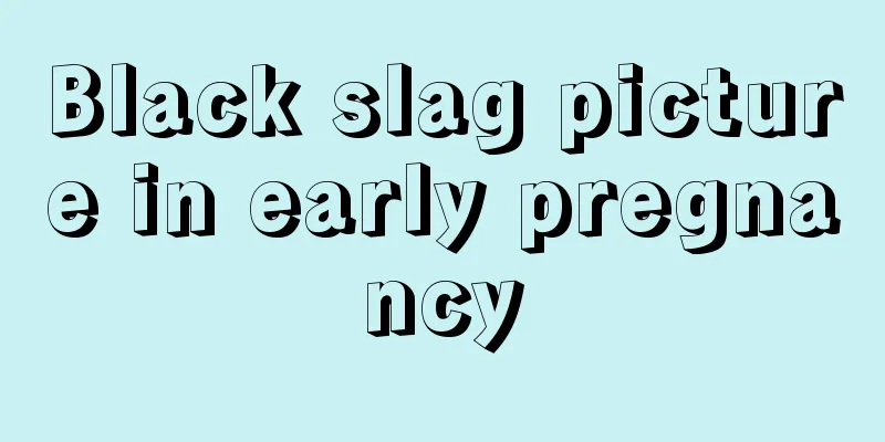 Black slag picture in early pregnancy