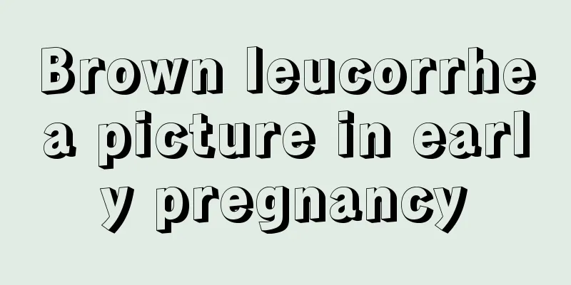 Brown leucorrhea picture in early pregnancy