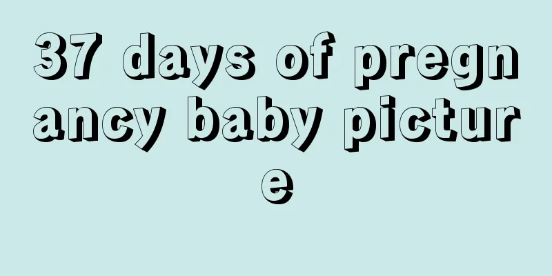 37 days of pregnancy baby picture