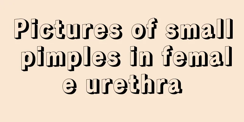 Pictures of small pimples in female urethra